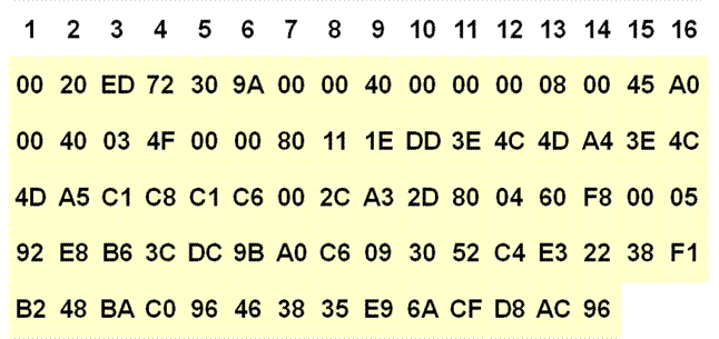 ip_data